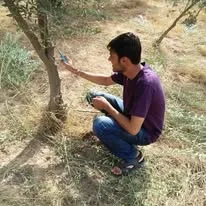 Green Seekers Activity
